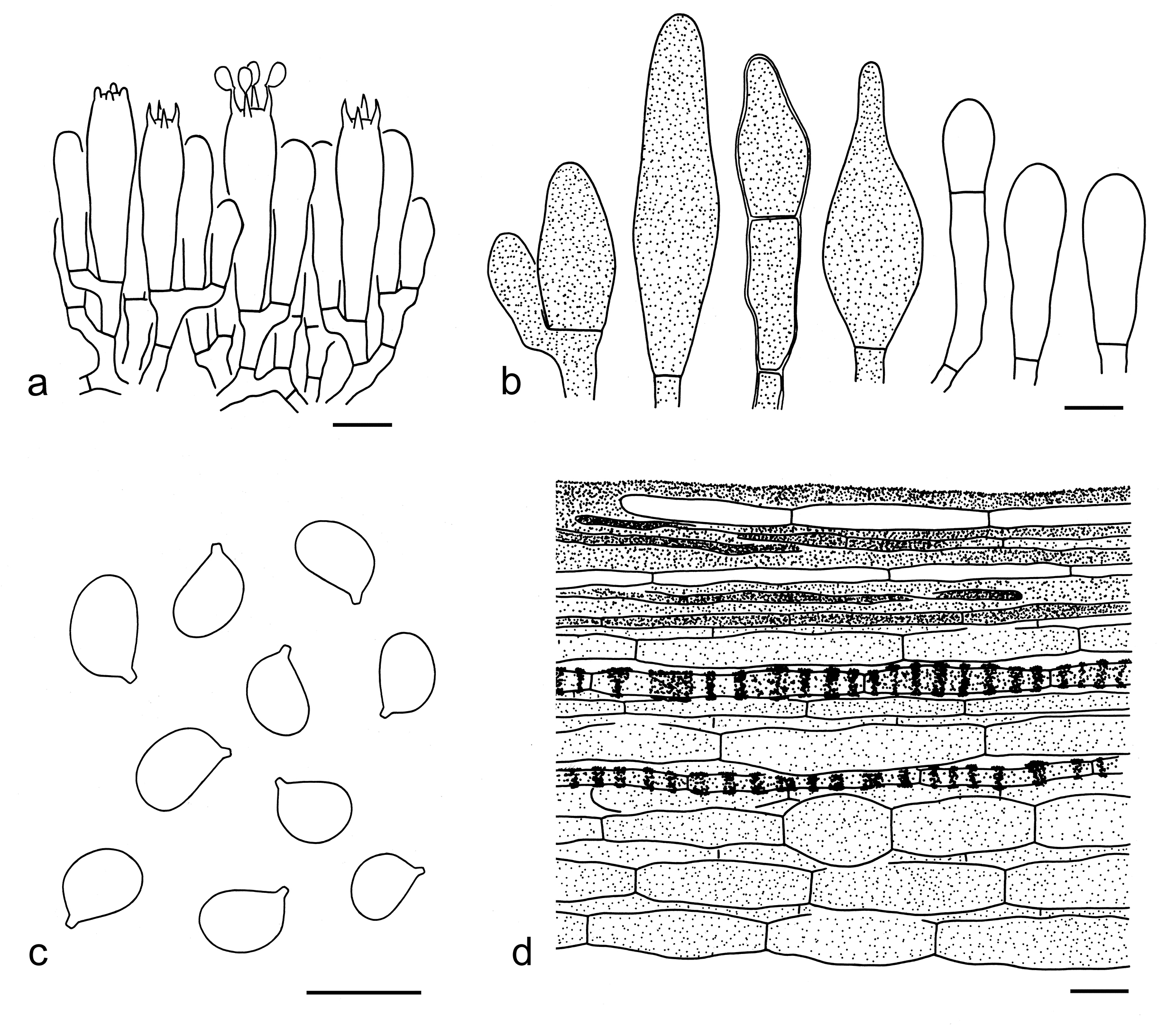 Figure 38